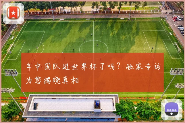 年中国队进世界杯了吗？独家专访为您揭晓真相